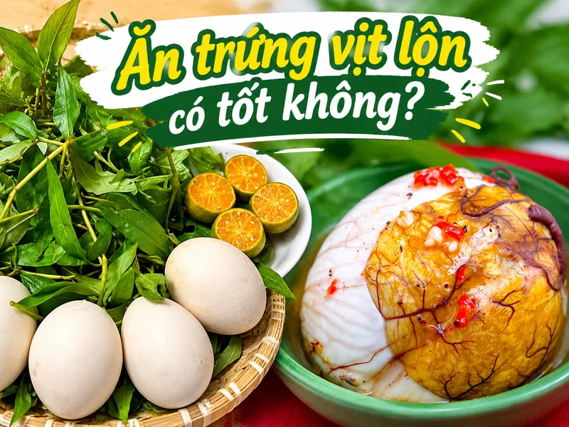 Protein và các vitamin trong trứng vịt lộn góp phần hỗ trợ duy trì hoạt động của cơ thể khi được ăn với lượng hợp lý.
